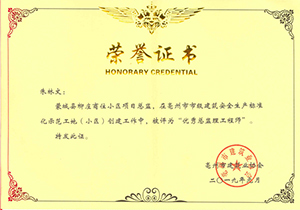 朱林文蒙城项目荣誉证书